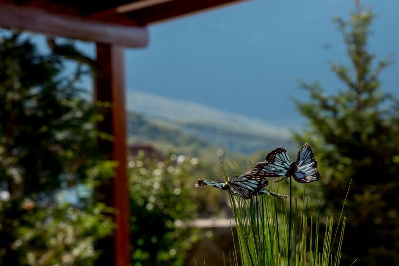Villa Zvonimir Zagvozd エクステリア 写真